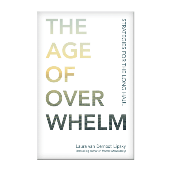 Image of Book Cover: The Age of Overwhelm